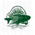 Sage Fly Fishing logo