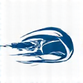 Shimano logo